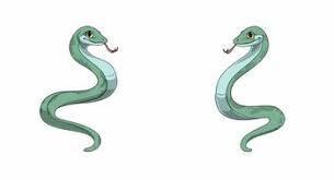 Attēlu rezultāti vaicājumam “Serpentes”