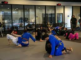 Image result for Northern Academy of Ju-Jitsu