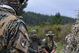 Image result for Scarborough Airsoft Club