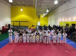 Image result for Martial Art Centre of Excellence