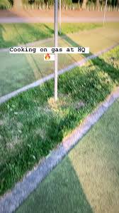 Image result for Follifoot Cc