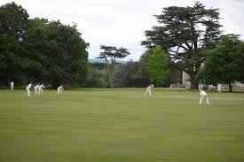 Image result for Peper Harow Cricket Club