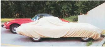 Image result for Fern Gray 1976 Jaguar