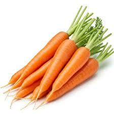 Attēlu rezultāti vaicājumam “Daucus sativus”