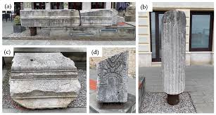 Attēlu rezultāti vaicājumam “Conardia compacta macro”