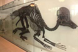 Bildergebnis für corythosaurus