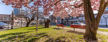 Image result for stamford cc