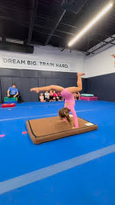 Image result for Elite Trampoline Club