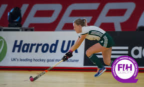 Image result for Indoor Hockey (Casual Use)