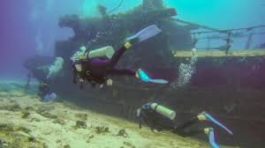 Image result for Exe To Sea Diving