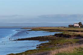 Image result for Solway