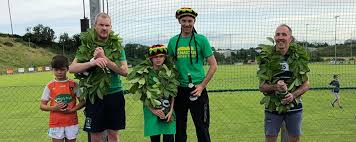 Image result for St Colmcilles Grange G F C