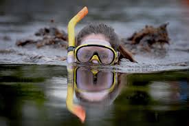 Image result for Bog Snorkelling Championships