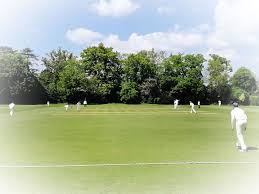 Image result for Welwyn Garden City Cricket Club