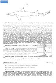 Image result for Scylliogaleus quecketti