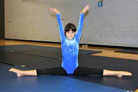 Image result for Farnham Gymnastics Club