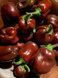 Afbeeldingsresultaat voor chocolate beauty sweet pepper