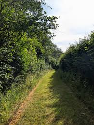 Image result for Withiel