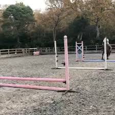 Image result for Elstead Riding Club