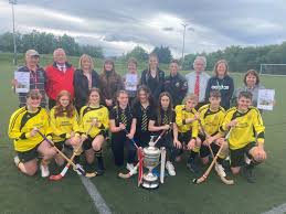 Image result for Lochcarron Camanachd