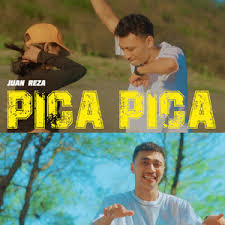 Attēlu rezultāti vaicājumam “Pica pica”