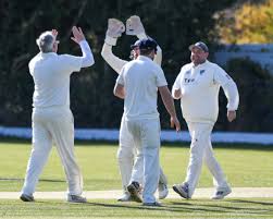 Image result for Braintree Cricket Club