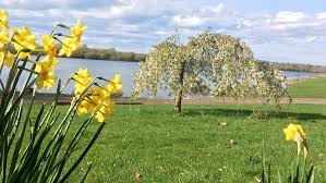 Image result for Grendon Lakes, Northants