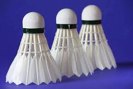 Image result for Shuttlecocks Badminton Club