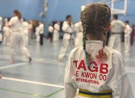 Image result for Chichester Tae Kwon Do