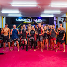 Image result for BERKSHIRE TIGERS THAI