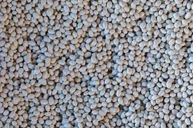 Image result for alubia grande