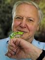 Victor Scheffer « ConservationBytes.com - david-attenborough