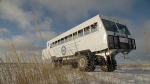 Image result for tundra buggy