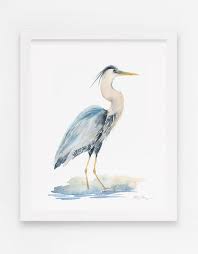 Image result for heron