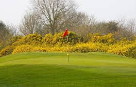 Image result for Tadmarton Heath Golf Club