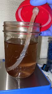 Attēlu rezultāti vaicājumam “Collaria rubens spores”