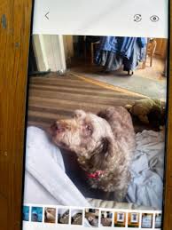 Image result for Adlestrop Daylesford & Oddington Cricket Club