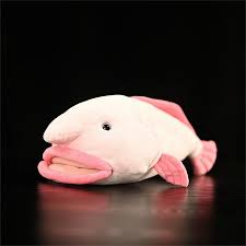 Image result for blobfish