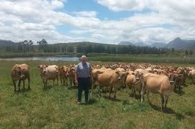 Image result for van vuuren theron