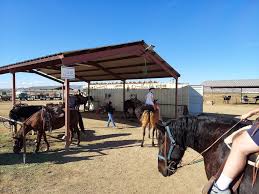 Image result for Shey Copse Riding Centre