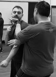 Image result for Midlands Wing Chun