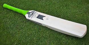 Image result for Fives and Heronians Cricket Club