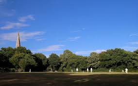 Image result for Chiddingly Cricket Club