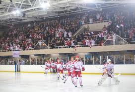 Image result for Swindon Panthers