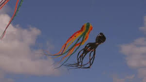 Image result for Atmosphere Kites