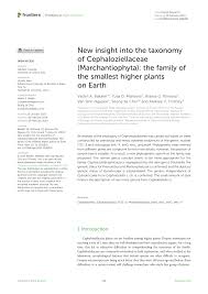 Attēlu rezultāti vaicājumam “Cephaloziella elachista”