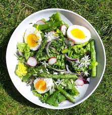 Attēlu rezultāti vaicājumam “Allium ursinum fruit”