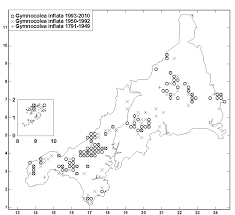 Attēlu rezultāti vaicājumam “Gymnocolea inflata”