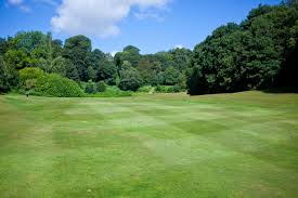 Image result for Dorking Golf Club