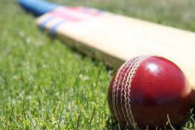 Image result for Norden Cricket Club